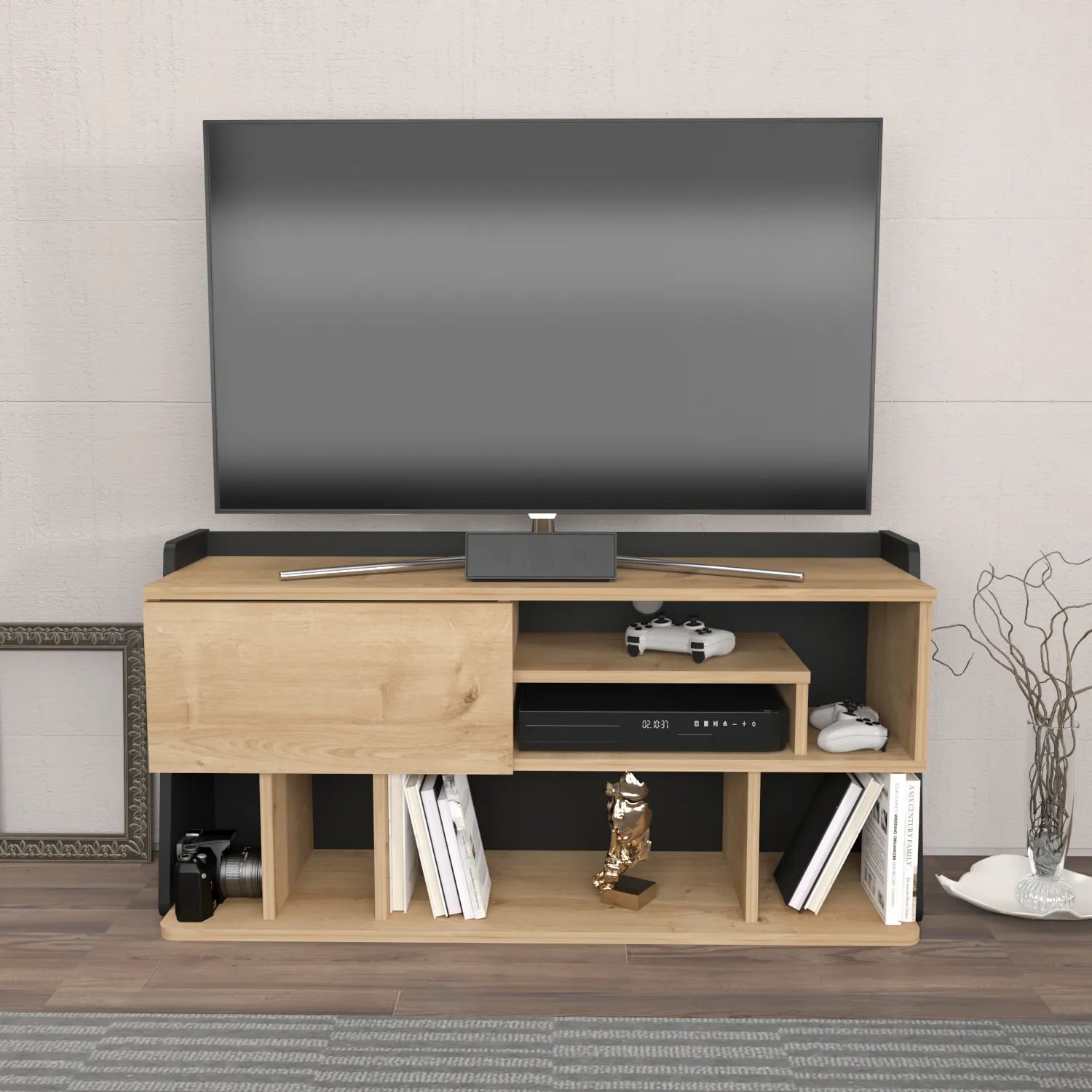 Raca 47" Wide TV Stand and Media Console for TVs up to 55"